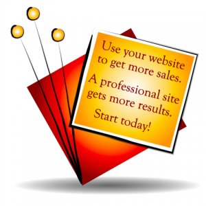 Professional Web Services