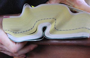 Yellow pages and its possible future? Yellow pages and its possible future?